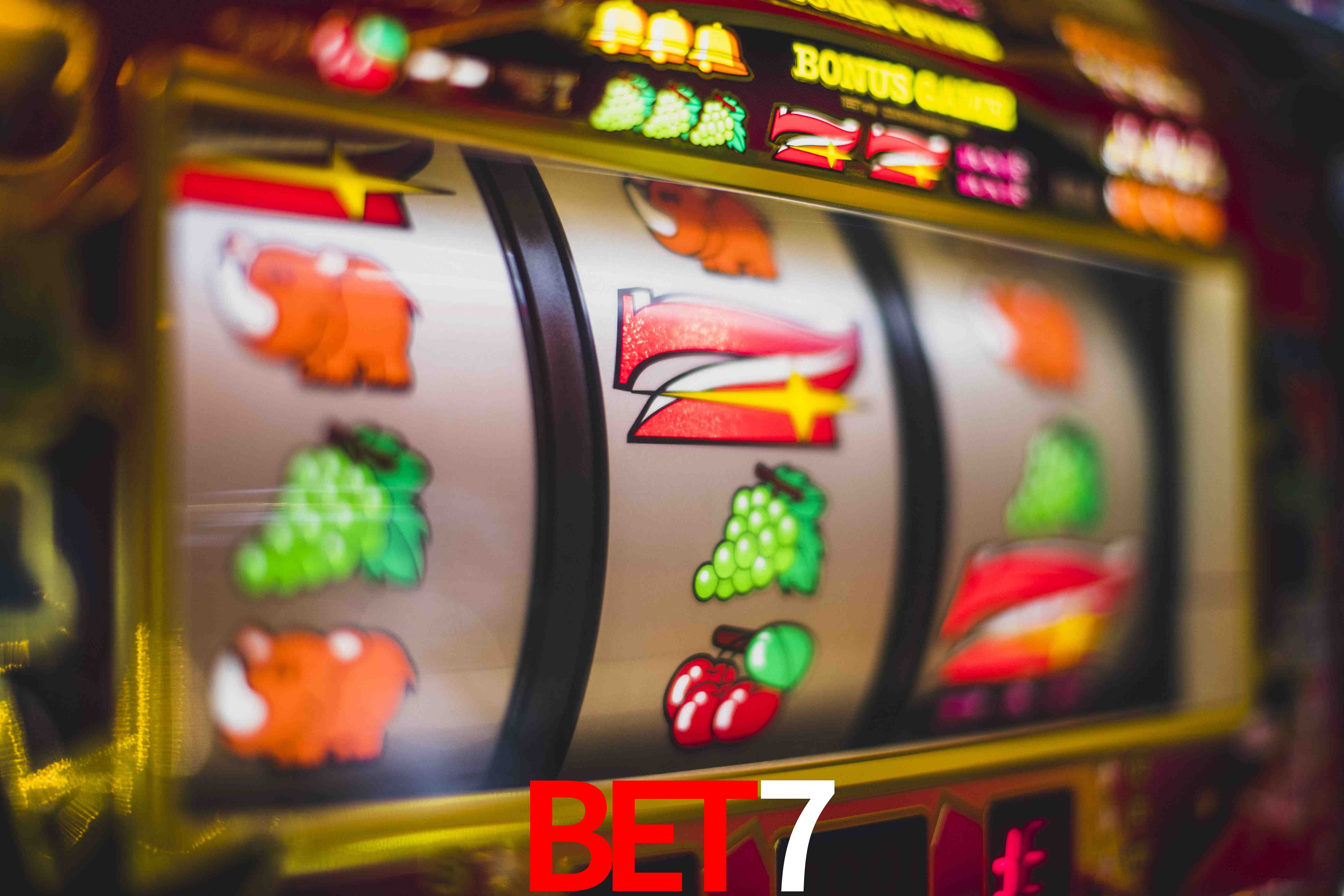Statistics bet7
